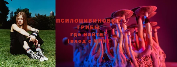 круглые Алзамай